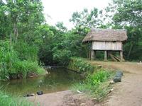 126_2675.JPG(1813783 bytes) -- Canon-Canon PowerShot G3,  2004:03:27 12:23:58,  [2272 x 1704],  fl=N,  f= 7.2mm  (35mm equivalent: 36mm),  exptime=0.0100 s  (1/100),  f/4.0