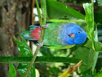 127_2714.JPG(1006236 bytes) -- Canon-Canon PowerShot G3,  2004:03:27 15:50:58,  [2272 x 1704],  fl=Y,  f=23.0mm  (35mm equivalent: 116mm),  exptime=0.017 s  (1/60),  f/2.8