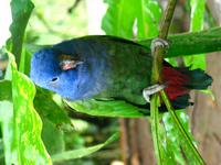 127_2716.JPG(881601 bytes) -- Canon-Canon PowerShot G3,  2004:03:27 15:51:31,  [2272 x 1704],  fl=N,  f=17.6mm  (35mm equivalent: 89mm),  exptime=0.033 s  (1/30),  f/2.5