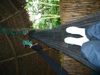 127_2718.JPG(1195427 bytes) -- Canon-Canon PowerShot G3,  2004:03:27 16:00:22,  [2272 x 1704],  fl=Y,  f= 7.2mm  (35mm equivalent: 36mm),  exptime=0.017 s  (1/60),  f/2.0