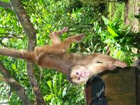 127_2722.JPG(1287585 bytes) -- Canon-Canon PowerShot G3,  2004:03:27 16:37:03,  [2272 x 1704],  fl=Y,  f=14.4mm  (35mm equivalent: 73mm),  exptime=0.017 s  (1/60),  f/2.5