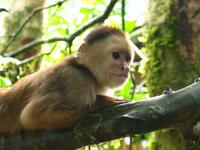 127_2723.JPG(806661 bytes) -- Canon-Canon PowerShot G3,  2004:03:27 16:37:26,  [2272 x 1704],  fl=N,  f=28.8mm  (35mm equivalent: 146mm),  exptime=0.050 s  (1/20),  f/3.0