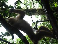 127_2726.JPG(912520 bytes) -- Canon-Canon PowerShot G3,  2004:03:27 16:39:11,  [2272 x 1704],  fl=N,  f=14.4mm  (35mm equivalent: 73mm),  exptime=0.0100 s  (1/100),  f/4.0