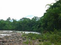 127_2729.JPG(1085555 bytes) -- Canon-Canon PowerShot G3,  2004:03:27 16:41:45,  [2272 x 1704],  fl=N,  f=28.8mm  (35mm equivalent: 146mm),  exptime=0.0031 s  (1/320),  f/4.0