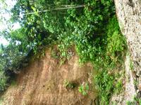 127_2734.JPG(1548153 bytes) -- Canon-Canon PowerShot G3,  2004:03:27 17:18:24,  [2272 x 1704],  fl=N,  f= 7.2mm  (35mm equivalent: 36mm),  exptime=0.020 s  (1/50),  f/2.8