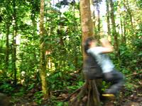 127_2740.JPG(1255431 bytes) -- Canon-Canon PowerShot G3,  2004:03:27 17:33:15,  [2272 x 1704],  fl=N,  f= 7.2mm  (35mm equivalent: 36mm),  exptime=0.067 s  (1/15),  f/2.0