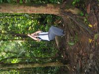 127_2743.JPG(1310168 bytes) -- Canon-Canon PowerShot G3,  2004:03:27 17:35:40,  [2272 x 1704],  fl=Y,  f= 7.2mm  (35mm equivalent: 36mm),  exptime=0.017 s  (1/60),  f/2.0