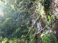 127_2745.JPG(1833978 bytes) -- Canon-Canon PowerShot G3,  2004:03:27 17:43:47,  [2272 x 1704],  fl=N,  f= 7.2mm  (35mm equivalent: 36mm),  exptime=0.020 s  (1/50),  f/3.2