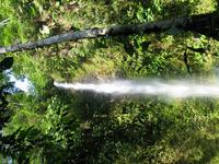 127_2746.JPG(1917235 bytes) -- Canon-Canon PowerShot G3,  2004:03:27 17:46:32,  [2272 x 1704],  fl=N,  f= 7.2mm  (35mm equivalent: 36mm),  exptime=0.0100 s  (1/100),  f/4.0