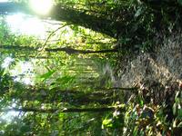 127_2755.JPG(1554158 bytes) -- Canon-Canon PowerShot G3,  2004:03:27 18:35:57,  [2272 x 1704],  fl=N,  f= 7.2mm  (35mm equivalent: 36mm),  exptime=0.100 s  (1/10),  f/2.0