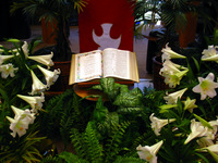 Canon PowerShot G3, 2004:04:17 13:46:36 -- 1/60 sec, f/2.0.  No Flash, Compulsory.2272x1704 Off.