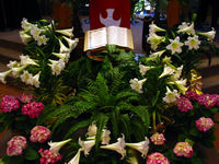 Canon PowerShot G3, 2004:04:17 13:46:53 -- 1/60 sec, f/2.0.  No Flash, Compulsory.2272x1704 Off.