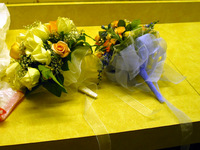 Canon PowerShot G3, 2004:04:17 13:55:24 -- 1/40 sec, f/2.0.  No Flash, Compulsory.2272x1704 Off.