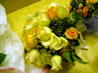 Canon PowerShot G3, 2004:04:17 13:57:31 -- 1/50 sec, f/2.0.  No Flash, Compulsory.2272x1704 Off.