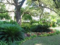 137_3782.JPG(1877989 bytes) -- Canon-Canon PowerShot G3,  2004:06:03 18:18:21,  [2272 x 1704],  fl=N,  f= 7.2mm  (35mm equivalent: 36mm),  exptime=0.020 s  (1/50),  f/3.2