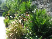 137_3783.JPG(1810814 bytes) -- Canon-Canon PowerShot G3,  2004:06:03 18:20:34,  [2272 x 1704],  fl=N,  f= 7.2mm  (35mm equivalent: 36mm),  exptime=0.0040 s  (1/250),  f/4.0