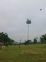 137_3796.JPG(765779 bytes) -- Canon-Canon PowerShot G3,  2004:06:04 08:28:06,  [2272 x 1704],  fl=N,  f=14.4mm  (35mm equivalent: 73mm),  exptime=0.0063 s  (1/160),  f/4.0