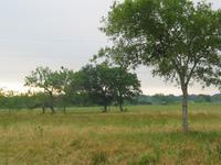 138_3801.JPG(1447320 bytes) -- Canon-Canon PowerShot G3,  2004:06:04 08:30:40,  [2272 x 1704],  fl=N,  f=15.8mm  (35mm equivalent: 80mm),  exptime=0.017 s  (1/60),  f/4.0