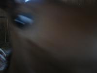 138_3803.JPG(765108 bytes) -- Canon-Canon PowerShot G3,  2004:06:04 08:34:13,  [2272 x 1704],  fl=N,  f= 7.2mm  (35mm equivalent: 36mm),  exptime=0.125 s  (1/8),  f/2.0