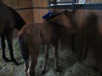 138_3806.JPG(842265 bytes) -- Canon-Canon PowerShot G3,  2004:06:04 08:39:07,  [2272 x 1704],  fl=N,  f= 7.2mm  (35mm equivalent: 36mm),  exptime=0.125 s  (1/8),  f/2.0