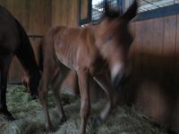 138_3807.JPG(851274 bytes) -- Canon-Canon PowerShot G3,  2004:06:04 08:39:20,  [2272 x 1704],  fl=N,  f= 7.2mm  (35mm equivalent: 36mm),  exptime=0.125 s  (1/8),  f/2.0