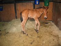 138_3810.JPG(1310828 bytes) -- Canon-Canon PowerShot G3,  2004:06:04 08:40:09,  [2272 x 1704],  fl=Y,  f= 7.2mm  (35mm equivalent: 36mm),  exptime=0.017 s  (1/60),  f/2.0