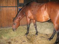 138_3813.JPG(1334082 bytes) -- Canon-Canon PowerShot G3,  2004:06:04 08:41:00,  [2272 x 1704],  fl=Y,  f= 7.2mm  (35mm equivalent: 36mm),  exptime=0.017 s  (1/60),  f/2.0