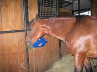 138_3814.JPG(1206433 bytes) -- Canon-Canon PowerShot G3,  2004:06:04 08:41:16,  [2272 x 1704],  fl=Y,  f= 7.2mm  (35mm equivalent: 36mm),  exptime=0.017 s  (1/60),  f/2.0