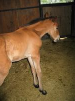 138_3816.JPG(1188052 bytes) -- Canon-Canon PowerShot G3,  2004:06:04 08:43:05,  [2272 x 1704],  fl=Y,  f= 7.2mm  (35mm equivalent: 36mm),  exptime=0.017 s  (1/60),  f/2.0