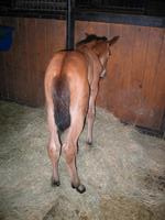 138_3820.JPG(1397467 bytes) -- Canon-Canon PowerShot G3,  2004:06:04 08:44:32,  [2272 x 1704],  fl=Y,  f= 7.2mm  (35mm equivalent: 36mm),  exptime=0.017 s  (1/60),  f/2.0