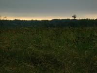 138_3829.JPG(1005327 bytes) -- Canon-Canon PowerShot G3,  2004:06:04 08:51:43,  [2272 x 1704],  fl=N,  f=28.8mm  (35mm equivalent: 146mm),  exptime=0.0080 s  (1/125),  f/8.0