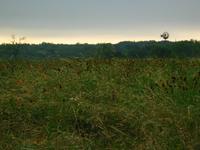 138_3830.JPG(1096133 bytes) -- Canon-Canon PowerShot G3,  2004:06:04 08:51:54,  [2272 x 1704],  fl=N,  f=28.8mm  (35mm equivalent: 146mm),  exptime=0.013 s  (1/80),  f/8.0