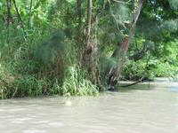 141_4188.JPG(1166515 bytes) -- Canon-Canon PowerShot G3,  2004:07:05 23:18:29,  [2272 x 1704],  fl=N,  f=12.7mm  (35mm equivalent: 64mm),  exptime=0.0080 s  (1/125),  f/4.0