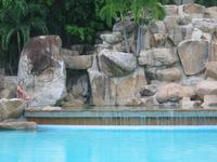 143_4344.JPG(1164029 bytes) -- Canon-Canon PowerShot G3,  2004:07:08 19:35:56,  [2272 x 1704],  fl=N,  f=20.7mm  (35mm equivalent: 105mm),  exptime=0.020 s  (1/50),  f/3.2