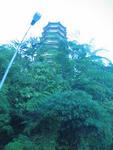 145_4508_r1.jpg(904418 bytes) -- Canon-Canon PowerShot G3,  2004:07:12 21:08:26,  [1704 x 2272],  fl=N,  f= 7.2mm  (35mm equivalent: 36mm),  exptime=0.0080 s  (1/125),  f/2.0