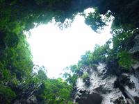 145_4532.JPG(1052415 bytes) -- Canon-Canon PowerShot G3,  2004:07:12 23:13:36,  [2272 x 1704],  fl=Y,  f= 7.2mm  (35mm equivalent: 36mm),  exptime=0.033 s  (1/30),  f/3.5