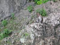 145_4542.JPG(1471519 bytes) -- Canon-Canon PowerShot G3,  2004:07:12 23:23:30,  [2272 x 1704],  fl=Y,  f=28.8mm  (35mm equivalent: 146mm),  exptime=0.017 s  (1/60),  f/3.0