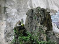 145_4543.JPG(1015041 bytes) -- Canon-Canon PowerShot G3,  2004:07:12 23:23:37,  [2272 x 1704],  fl=N,  f=28.8mm  (35mm equivalent: 146mm),  exptime=0.020 s  (1/50),  f/3.0