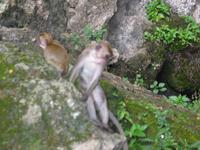 145_4544.JPG(1060623 bytes) -- Canon-Canon PowerShot G3,  2004:07:12 23:23:43,  [2272 x 1704],  fl=Y,  f=28.8mm  (35mm equivalent: 146mm),  exptime=0.017 s  (1/60),  f/3.0