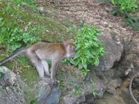 145_4545.JPG(1254834 bytes) -- Canon-Canon PowerShot G3,  2004:07:12 23:23:54,  [2272 x 1704],  fl=Y,  f=28.8mm  (35mm equivalent: 146mm),  exptime=0.017 s  (1/60),  f/3.0