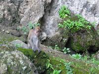 145_4546.JPG(1207011 bytes) -- Canon-Canon PowerShot G3,  2004:07:12 23:24:08,  [2272 x 1704],  fl=N,  f=28.8mm  (35mm equivalent: 146mm),  exptime=0.033 s  (1/30),  f/3.0