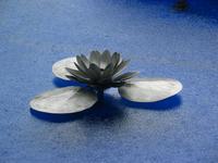 145_4562.JPG(1373721 bytes) -- Canon-Canon PowerShot G3,  2004:07:13 02:34:49,  [2272 x 1704],  fl=N,  f=28.8mm  (35mm equivalent: 146mm),  exptime=0.0025 s  (1/400),  f/4.0