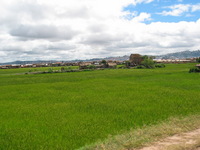 151_5113.JPG(1157675 bytes) -- Canon-Canon PowerShot G3,  2004:12:16 02:55:00,  [2272 x 1704],  fl=N,  f= 7.2mm  (35mm equivalent: 36mm),  exptime=0.0010 s  (1/1000),  f/4.0