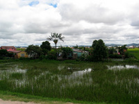 151_5114.JPG(1680219 bytes) -- Canon-Canon PowerShot G3,  2004:12:16 02:55:06,  [2272 x 1704],  fl=N,  f= 7.2mm  (35mm equivalent: 36mm),  exptime=0.0010 s  (1/1000),  f/4.0