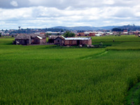 151_5115.JPG(1620049 bytes) -- Canon-Canon PowerShot G3,  2004:12:16 02:55:32,  [2272 x 1704],  fl=N,  f=28.8mm  (35mm equivalent: 146mm),  exptime=0.0012 s  (1/800),  f/4.0