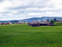 151_5116.JPG(1855611 bytes) -- Canon-Canon PowerShot G3,  2004:12:16 02:55:38,  [2272 x 1704],  fl=N,  f=28.8mm  (35mm equivalent: 146mm),  exptime=0.0012 s  (1/800),  f/4.0