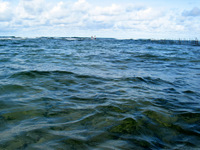 151_5139.JPG(2008327 bytes) -- Canon-Canon PowerShot G3,  2004:12:16 09:02:10,  [2272 x 1704],  fl=N,  f= 7.2mm  (35mm equivalent: 36mm),  exptime=0.0020 s  (1/500),  f/4.0