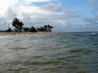 151_5140.JPG(1850949 bytes) -- Canon-Canon PowerShot G3,  2004:12:16 09:02:25,  [2272 x 1704],  fl=N,  f= 9.1mm  (35mm equivalent: 46mm),  exptime=0.0012 s  (1/800),  f/4.0