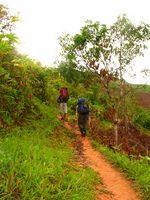 152_5218.JPG(1406273 bytes) -- Canon-Canon PowerShot G3,  2004:12:18 23:48:31,  [2272 x 1704],  fl=Y,  f= 7.2mm  (35mm equivalent: 36mm),  exptime=0.0080 s  (1/125),  f/4.0