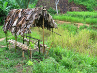 152_5220.JPG(3264118 bytes) -- Canon-Canon PowerShot G3,  2004:12:19 00:04:05,  [2272 x 1704],  fl=N,  f= 7.2mm  (35mm equivalent: 36mm),  exptime=0.013 s  (1/80),  f/4.0